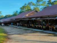 ลานกางเต็นท์วังกวาง | ภูกระดึง