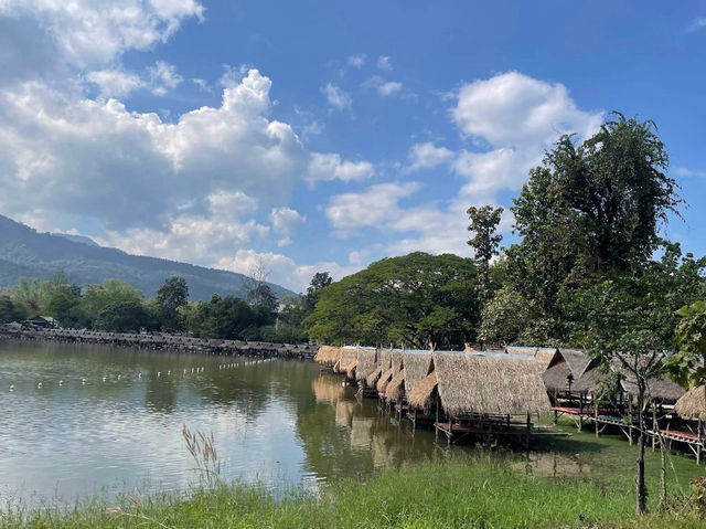 พาเที่ยวแหล่งธรรมชาติ ครบ จบที่นี่ ห้วยตึงเฒ่า🌳