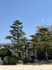 日本四國