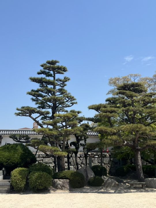 日本四國