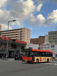 🚋 마쓰야마 교통편 정리, 똑똑하게 이동하세요!