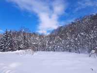 北海道旅遊🥳喜茂別路線雪場❄️自駕動力雪橇體驗分享😍欣賞羊蹄山沿途雪景🗻