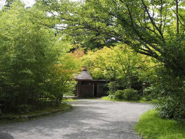 【大分県】1泊2日の別府旅