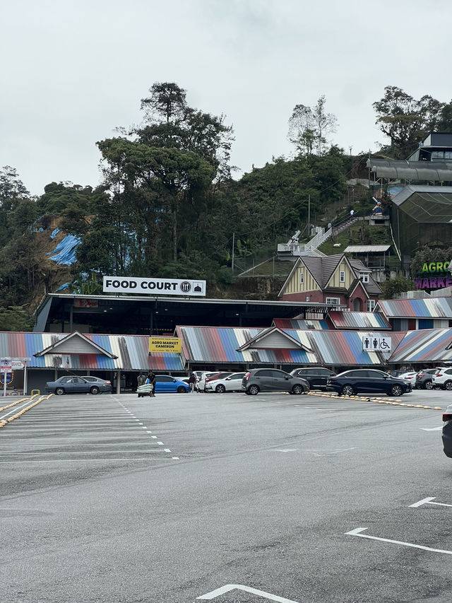 Delightful destination in Cameron Highlands