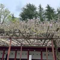 Kasama Inari Shrine, Ibaraki