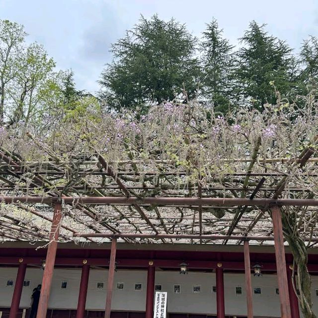 Kasama Inari Shrine, Ibaraki