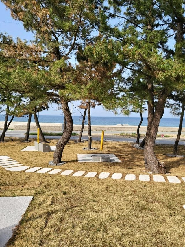 역대급 카라반 리조트 즐기는 울진여행코스
