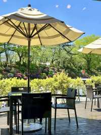 Spring Vibes & Juice Break at Sunpu Castle Run and Refresh Station