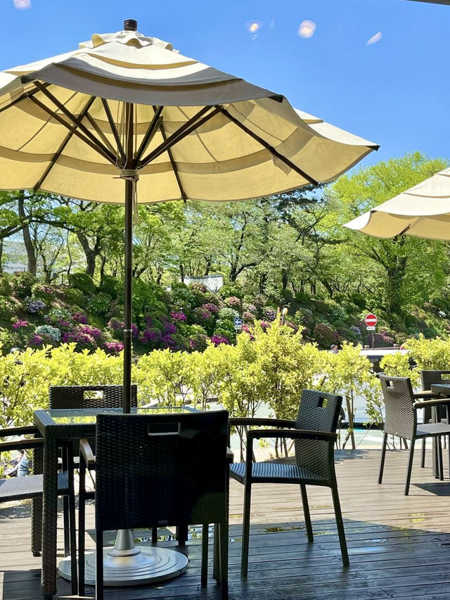 Spring Vibes & Juice Break at Sunpu Castle Run and Refresh Station