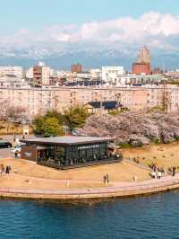 หนึ่งใน Starbucks ที่วิวสวยที่สุดเมืองโทยาม่า🌸🎌