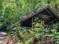 Gunung Lambak: The Mini Mountain That Will Wreck Your Legs (But Feed Your Soul)🏔️😅