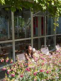 Discover Chengdu’s Leisurely Charm at People’s Park (人民公园)