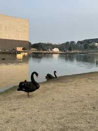 李自健美術館值得一去