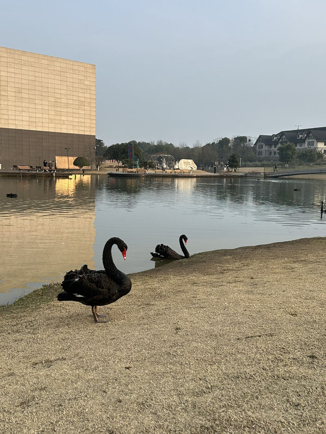 李自健美術館值得一去