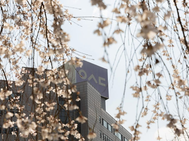 “Blossoms of Ambition: Springtime Serenity at Woosong University”