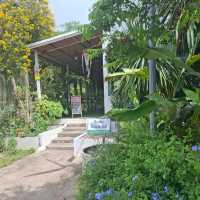 สวนลุงริน คาเฟ่ลับ บรรยากาศบ้านสวนในชะอำ