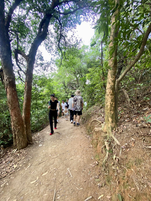 城市中的⛰️陽台山森林公園✨體驗自然風光行程推薦🏞️ 