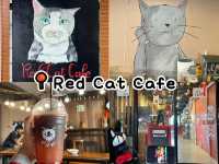นั่งพักคาเฟ่เล็กๆริมน้ำบางประกง ตลาดบ้านใหม่