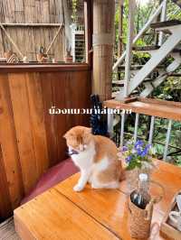 รีวิวที่พักบ้านไร่ไออรุณ จังหวัดระนอง