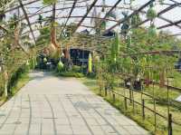 APRIL OASIS: CHIANG MAI’S TRADITIONAL TEAK TREASURES