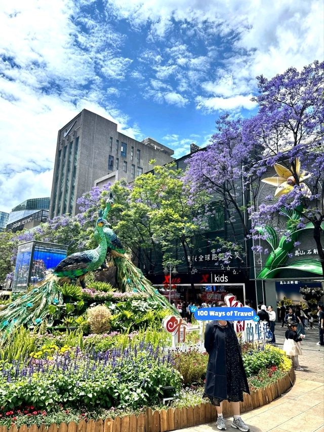 COLOURFUL PEACOCKS OF NANPING PEDESTRIAN STREET