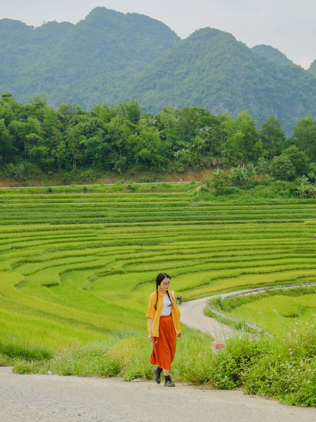 Pù luông