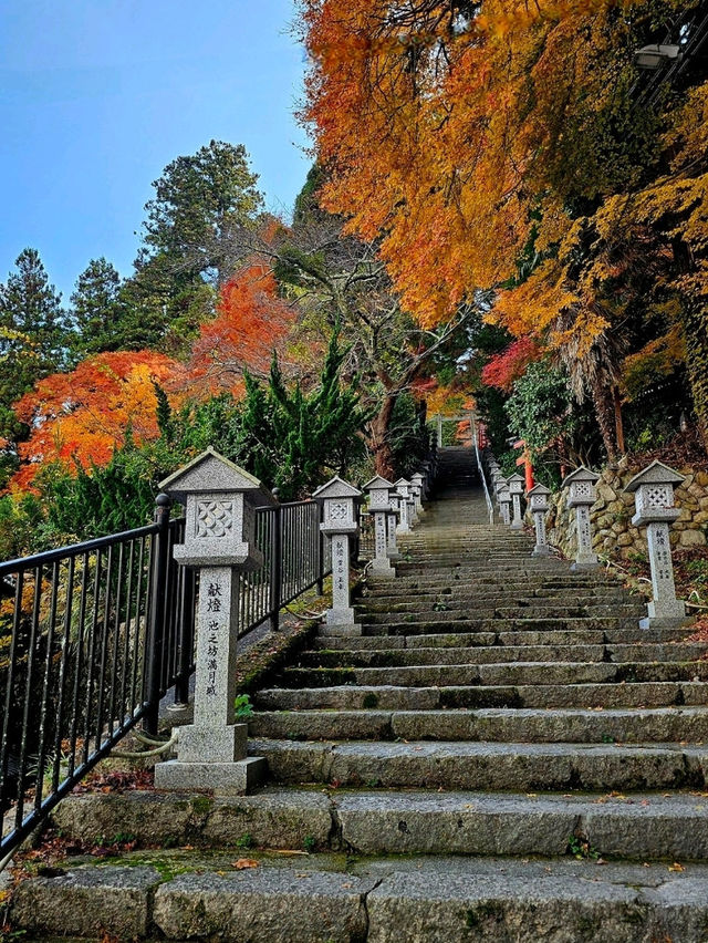神戶市區＋有馬溫泉三天兩夜行程，放鬆的優雅慢旅