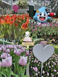 🌸 สวนดอกไม้เมืองหนาว ระยอง 🌸 เข้าชมฟรี! 