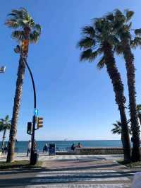 Spring in Malaga