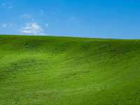 Xinjiang – Blossoms Beneath Silk Road Skies