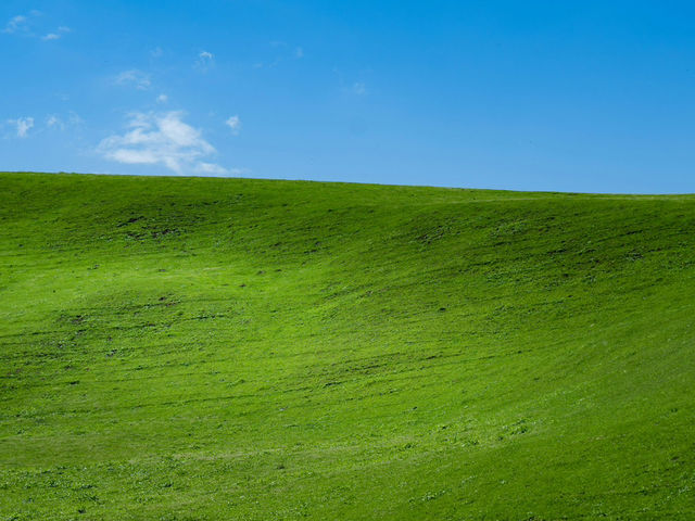 Xinjiang – Blossoms Beneath Silk Road Skies