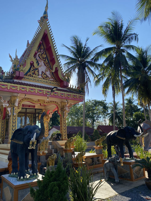 Peace, prayers, and Phatthalung temples
