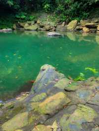 THIÊN SƠN SUỐI NGÀ