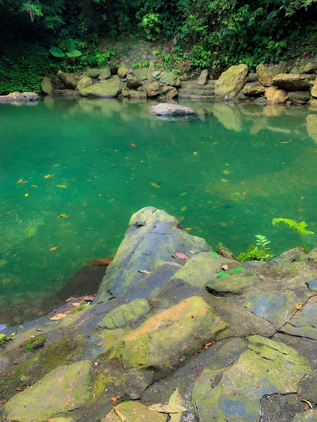 THIÊN SƠN SUỐI NGÀ