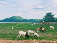 La Colline Campground สุพรรณบุรี
