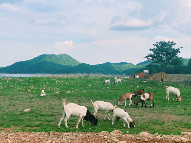 La Colline Campground สุพรรณบุรี
