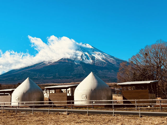 富士山下豪華露營
