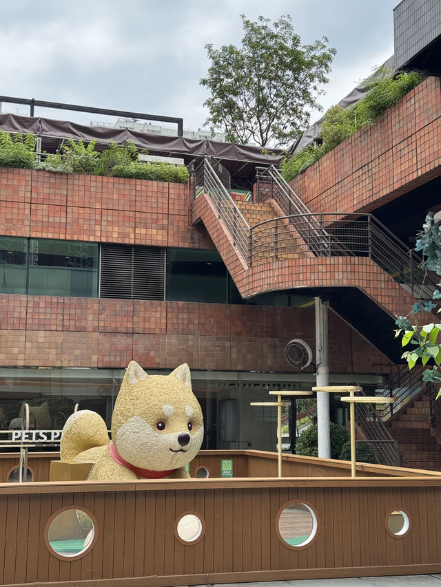 沙田新城市廣場寵物同樂園｜靚景打卡好去處