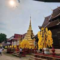 วัดพันเตา เชียงใหม่