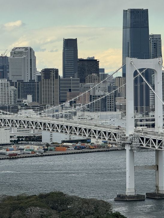 東京｜臨海高速鐵道臨海線｜海濱與未來的銀色冒險之旅