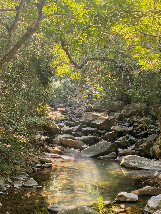 香港｜荔枝莊地質公園🪨