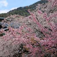 Temple that Big, Chill, and Super Scenic