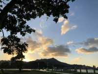 社子島島頭公園｜台北市區的濕地秘境，270度河景與生態交響的完美融合 