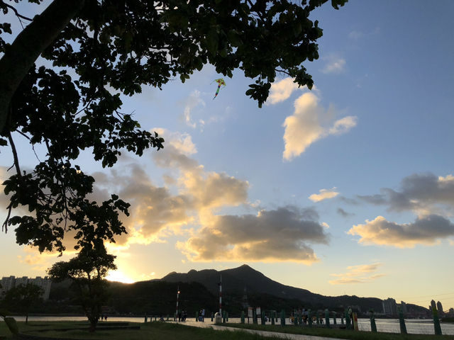 社子島島頭公園｜台北市區的濕地秘境，270度河景與生態交響的完美融合 