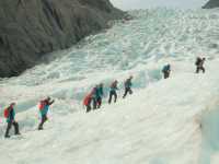 Walking on Ice: An unforgettable adventure with Fox Glacier Guiding