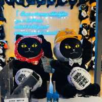 Lucky Cats & Creative Quirks