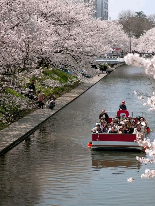 Time-Traveler’s Haven: Kanazawa’s Quiet Elegance