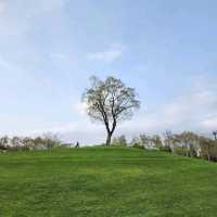 Suncheon Bay National Garden (Suncheon)