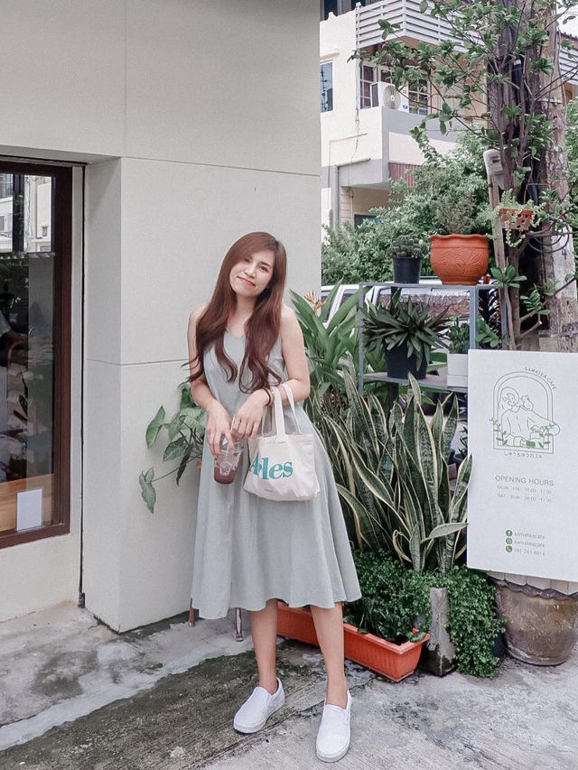 Samatea Cafe - สมาธิ คาเฟ่นี้มีน้องแมว 