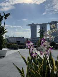 How to maximize your layover in Singapore… 
